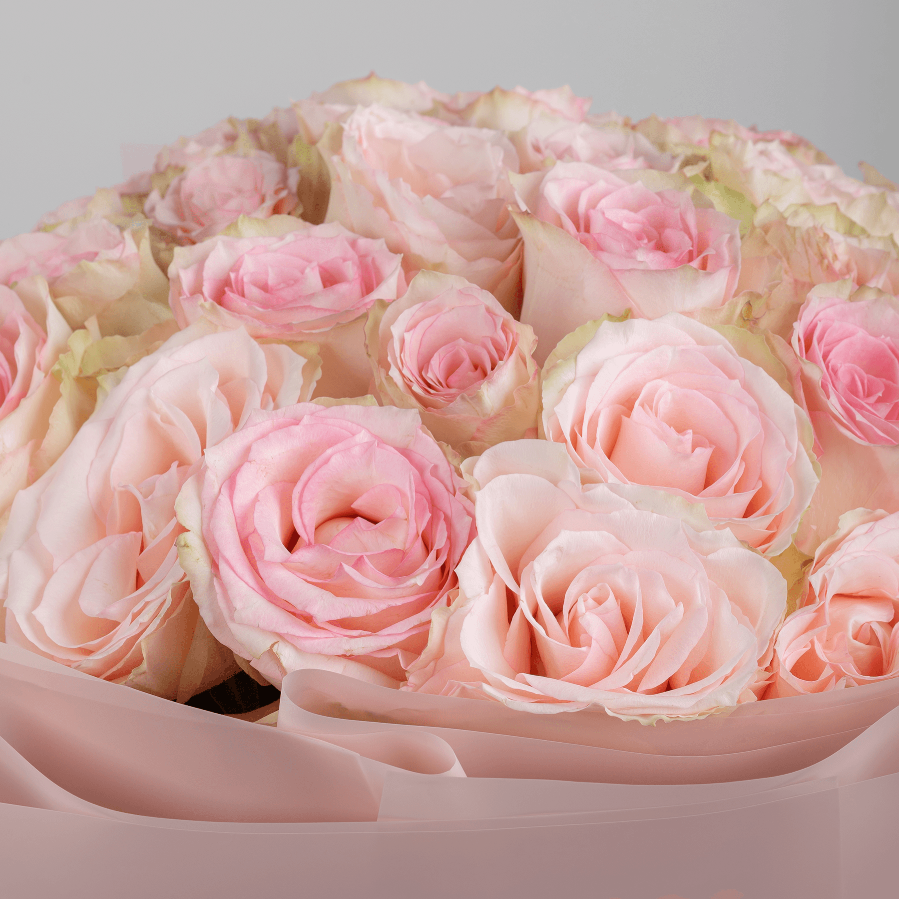 30 Esperance Pink Roses Bouquet