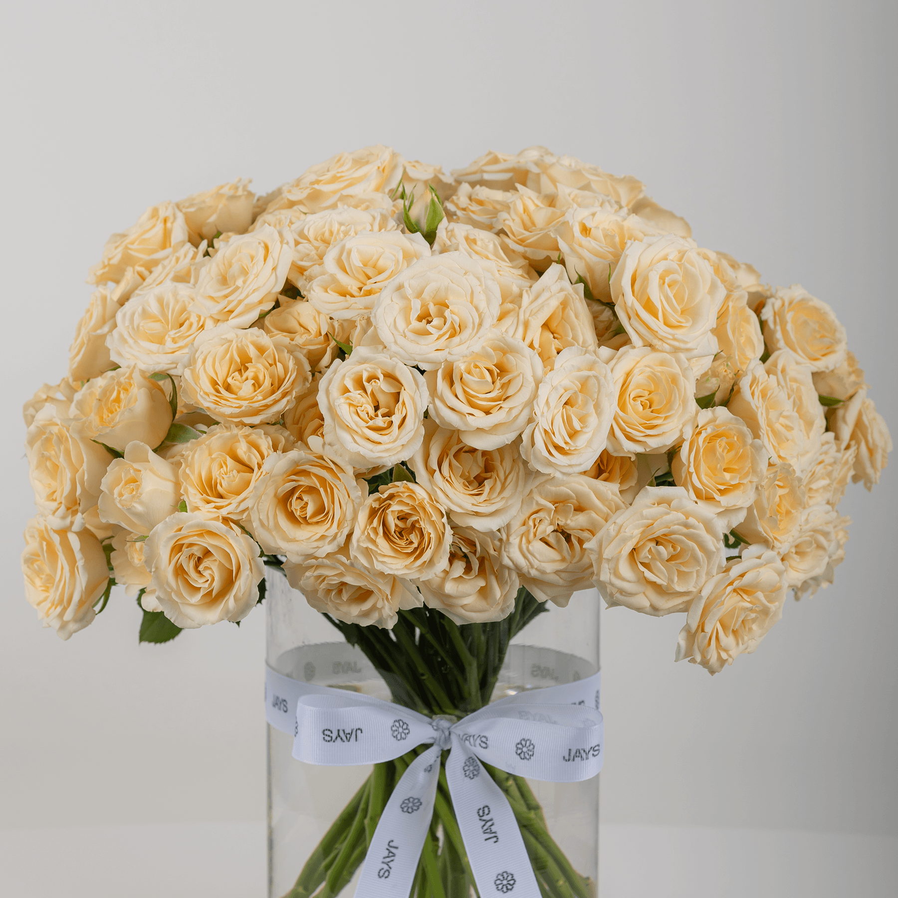 Beige Baby Roses Vase