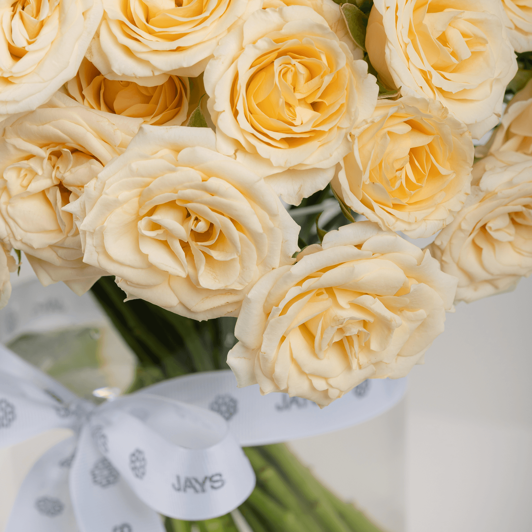 Beige Baby Roses Vase