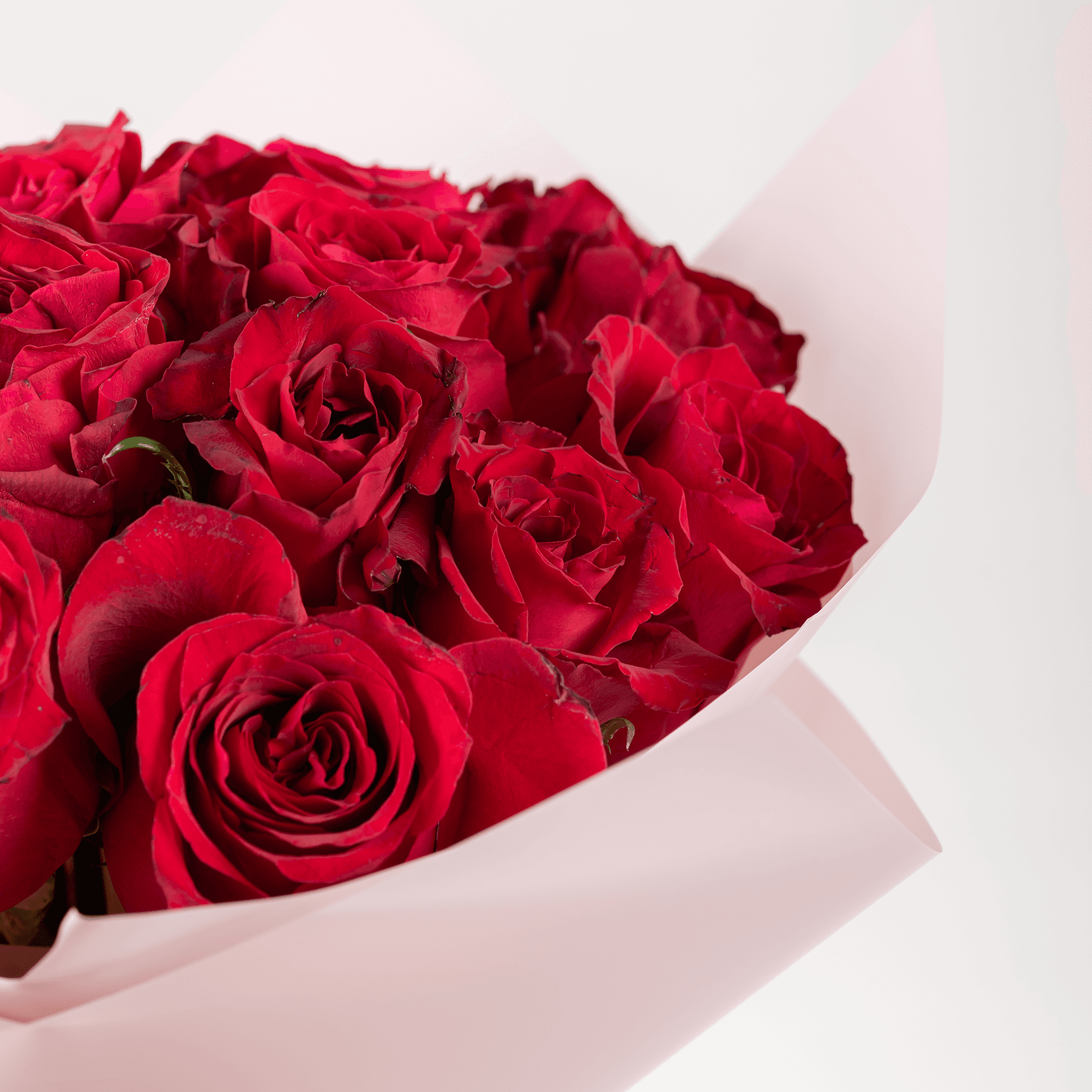 25 Red Roses Bouquet