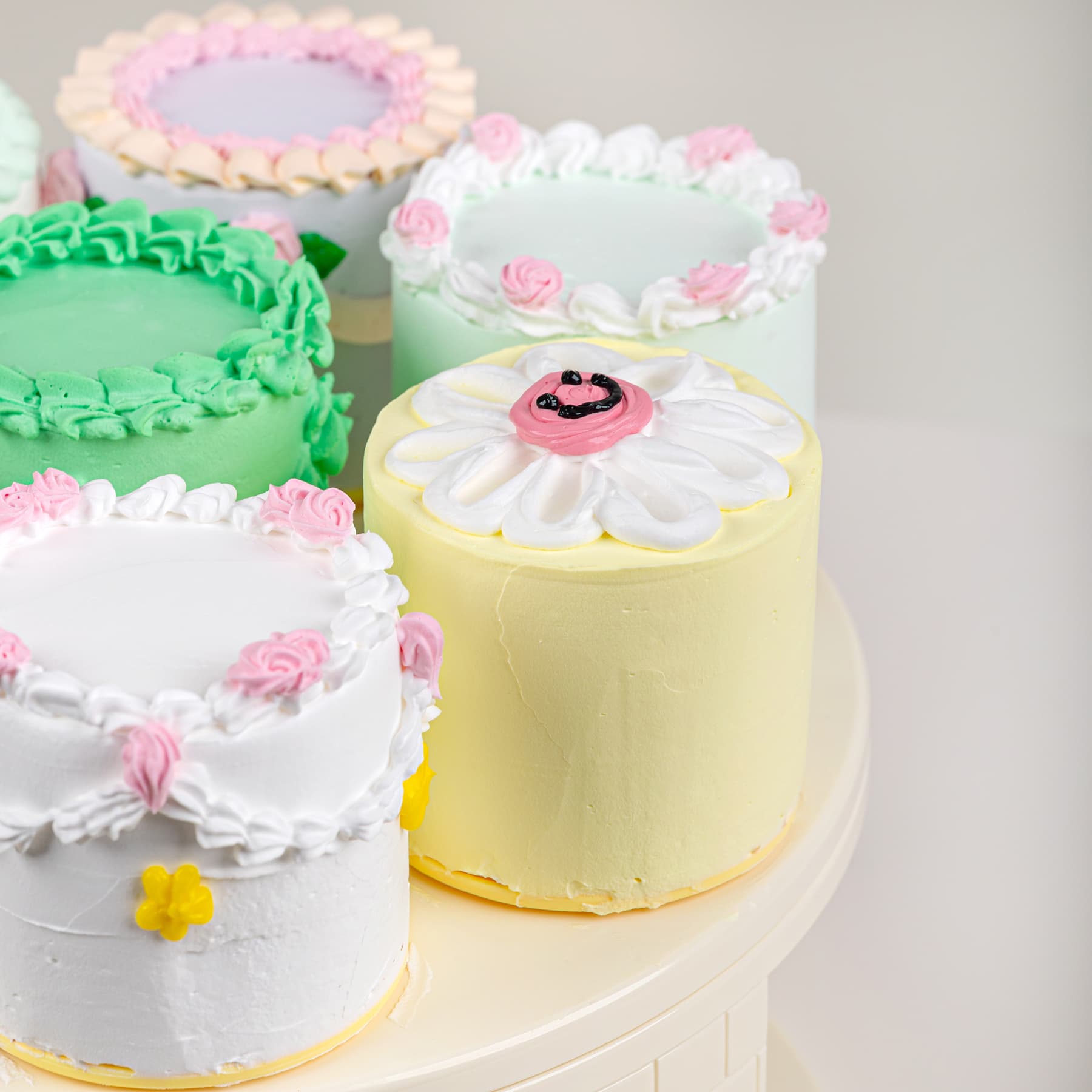 8 Mini Wonders Carousel