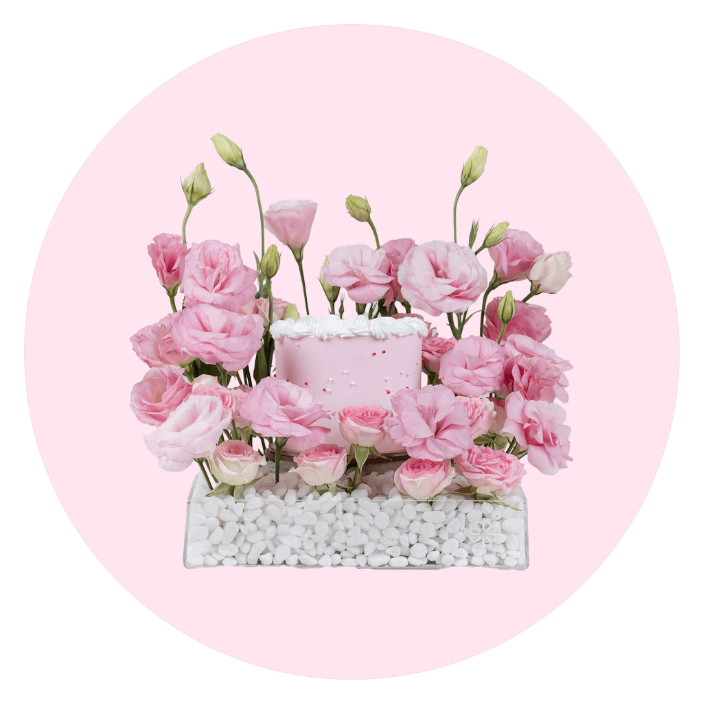 Visual representation of Combo