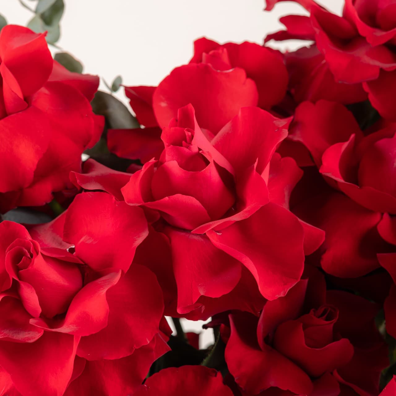 Brave Love - Ever Red