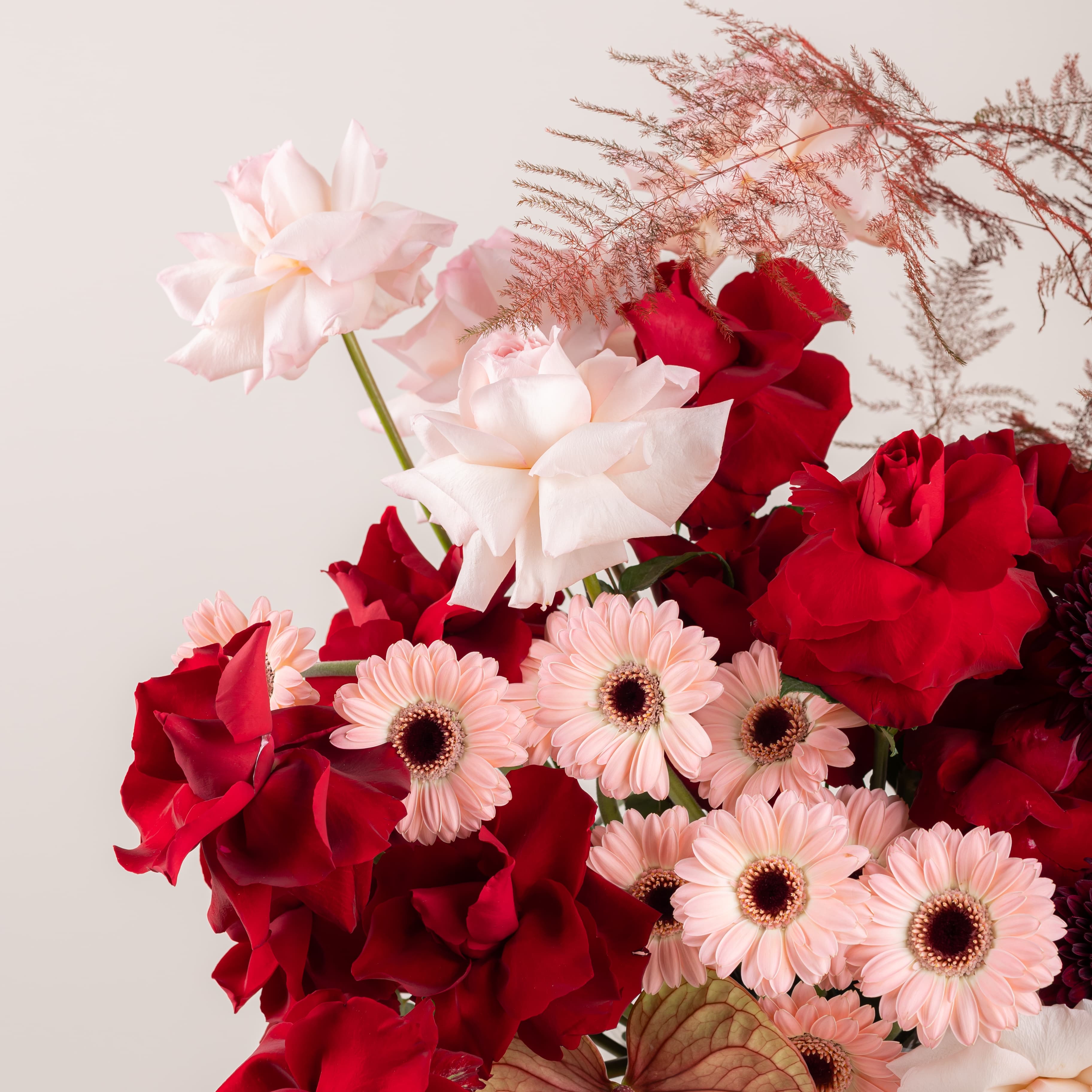 Brave Love - Eternal