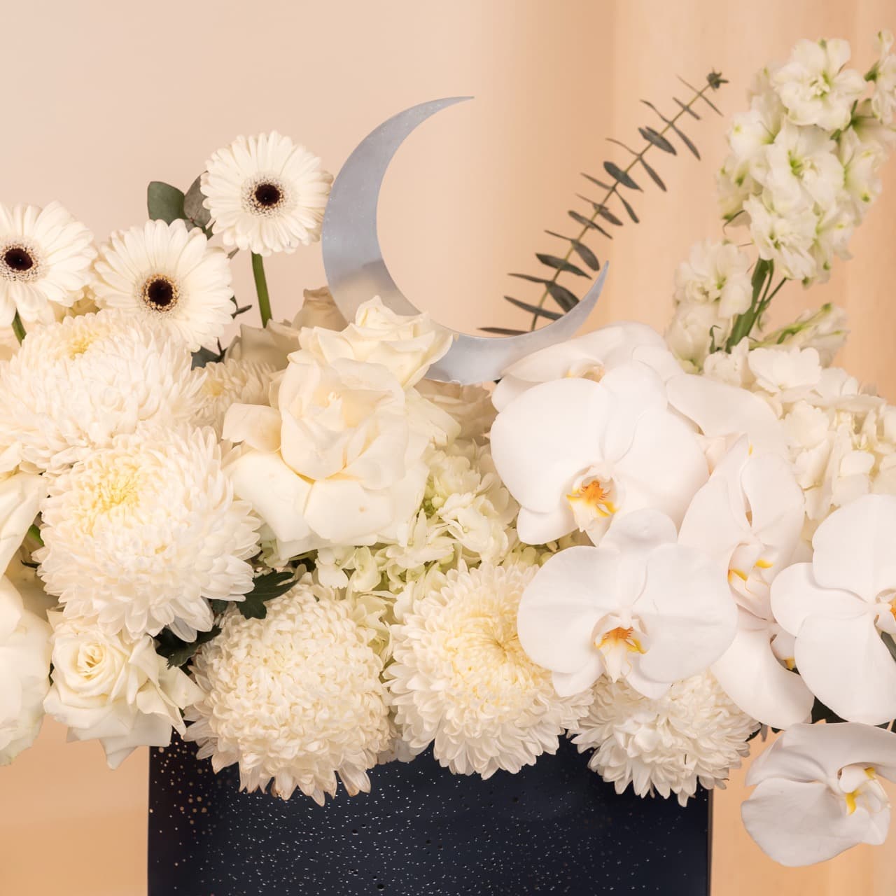 مونليت أيڤوري