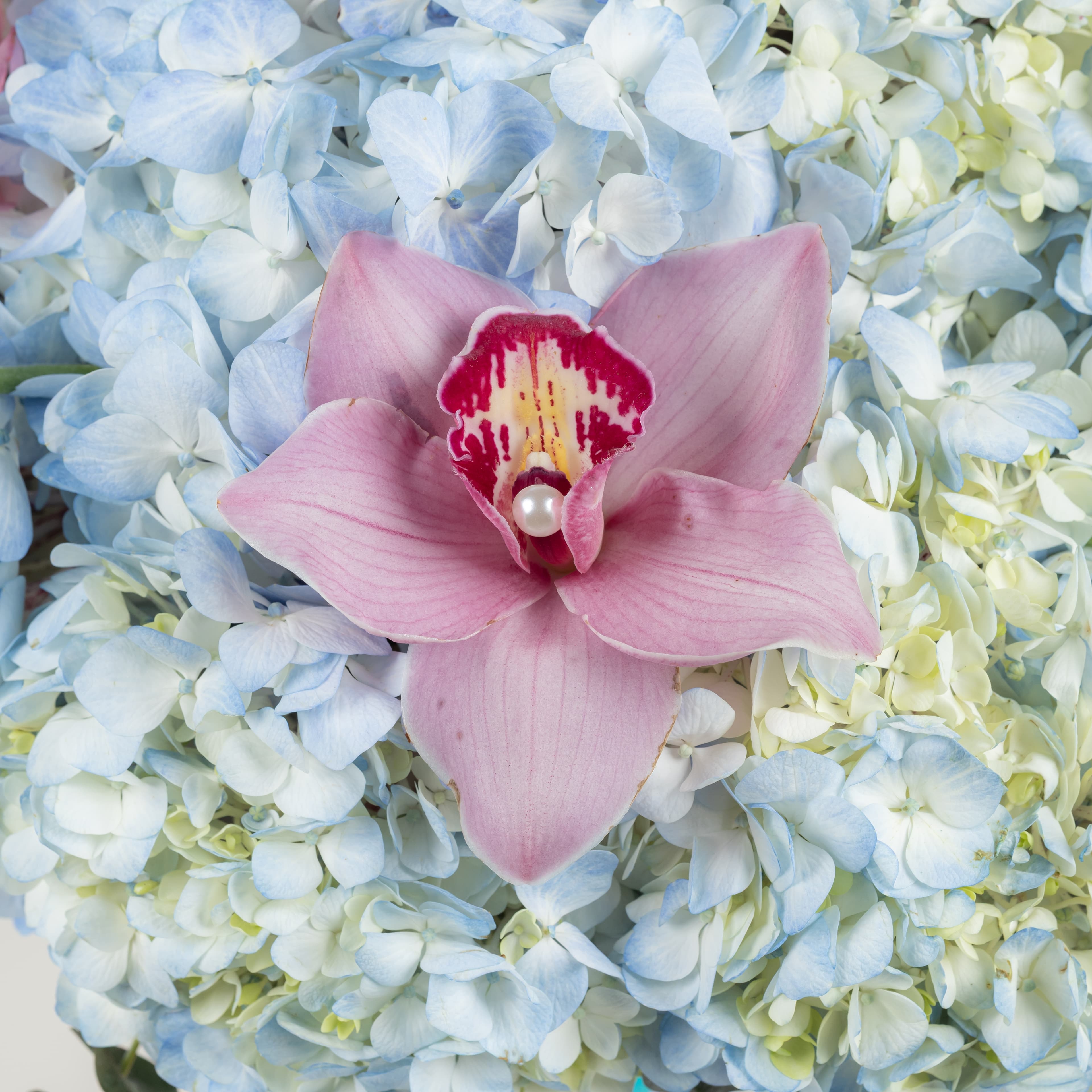 عيد الأم – مزهرية اللؤلؤة الزرقاء