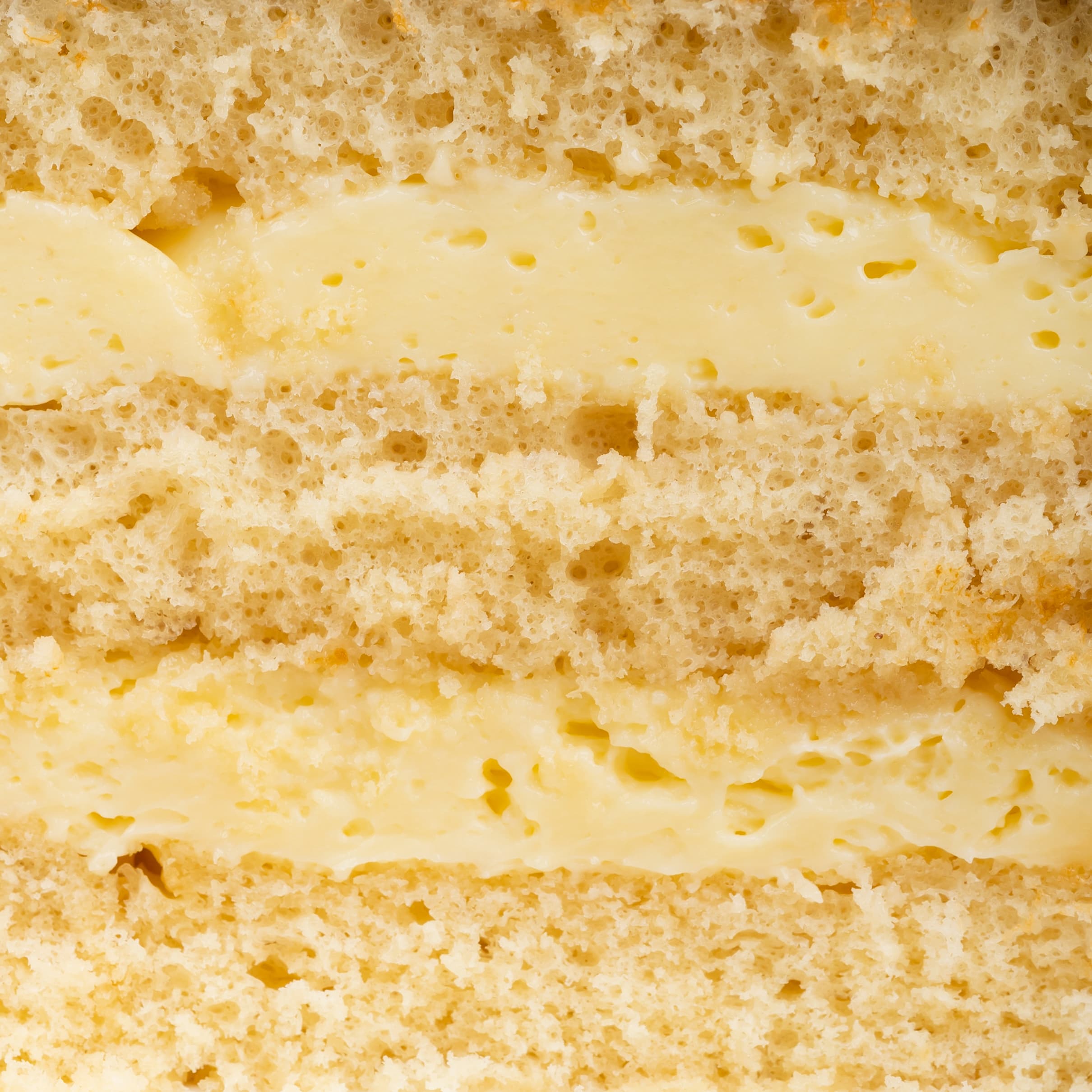 Vanilla Custard