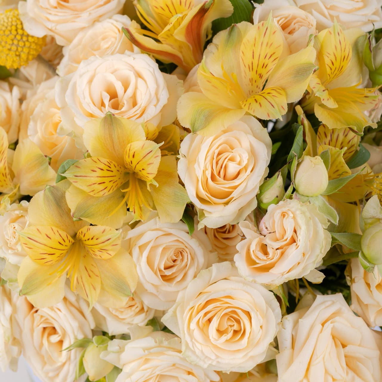 Golden Whisper Vase