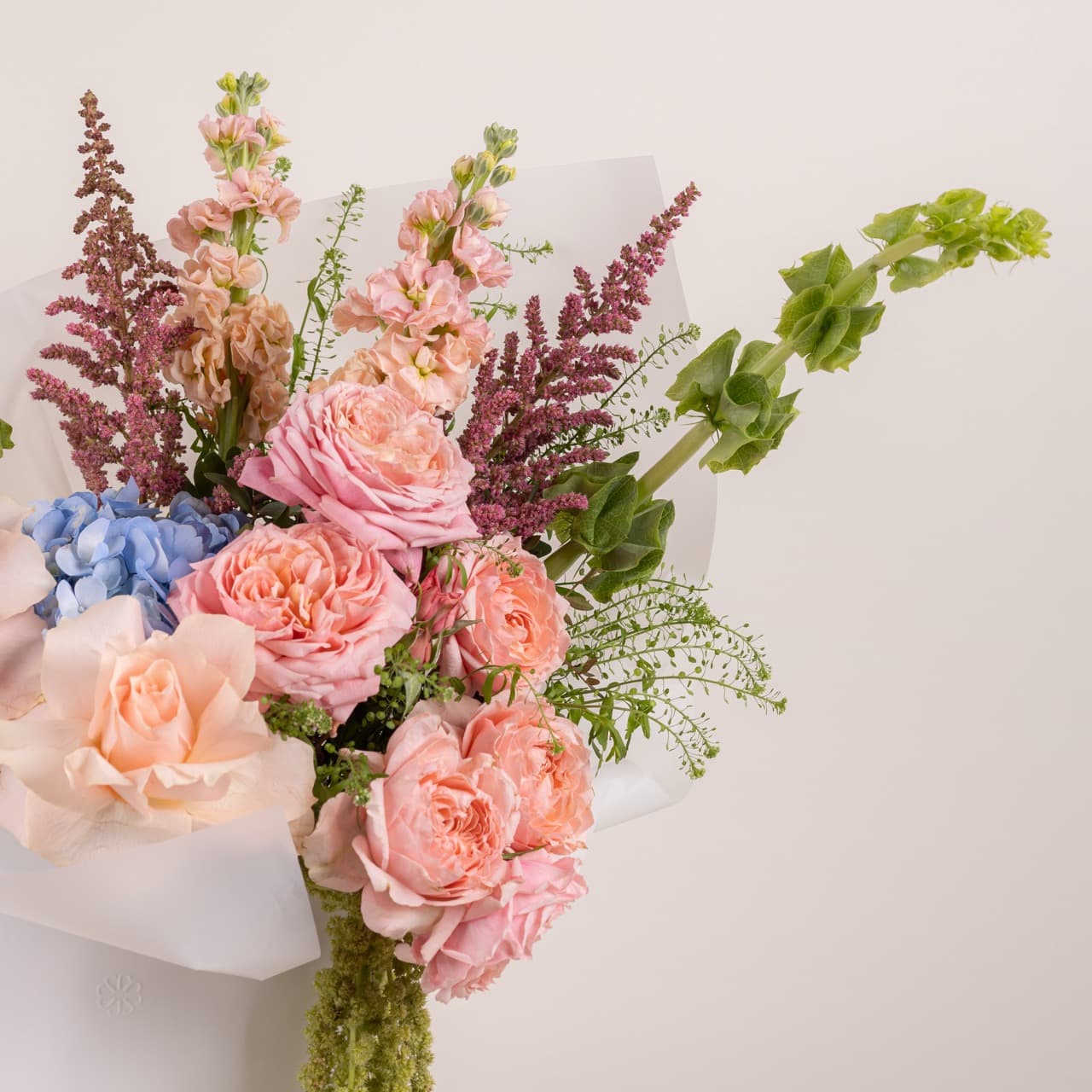 Serene Spring Radiance