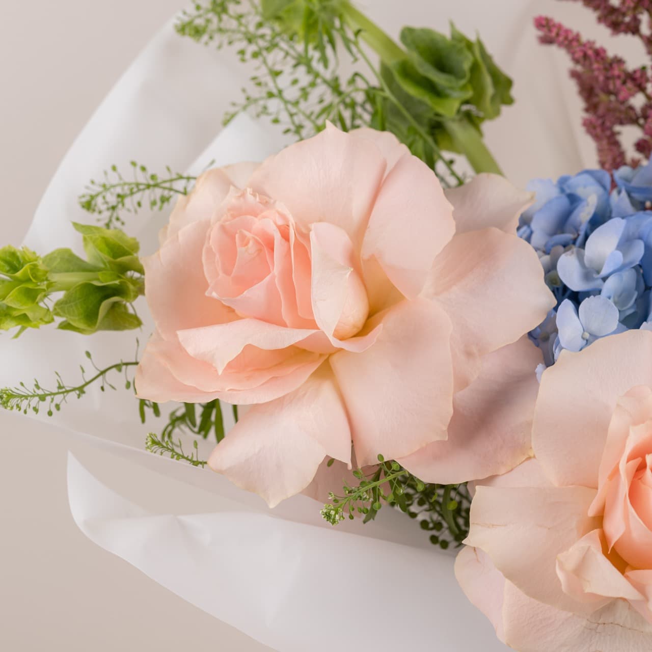Serene Spring Radiance