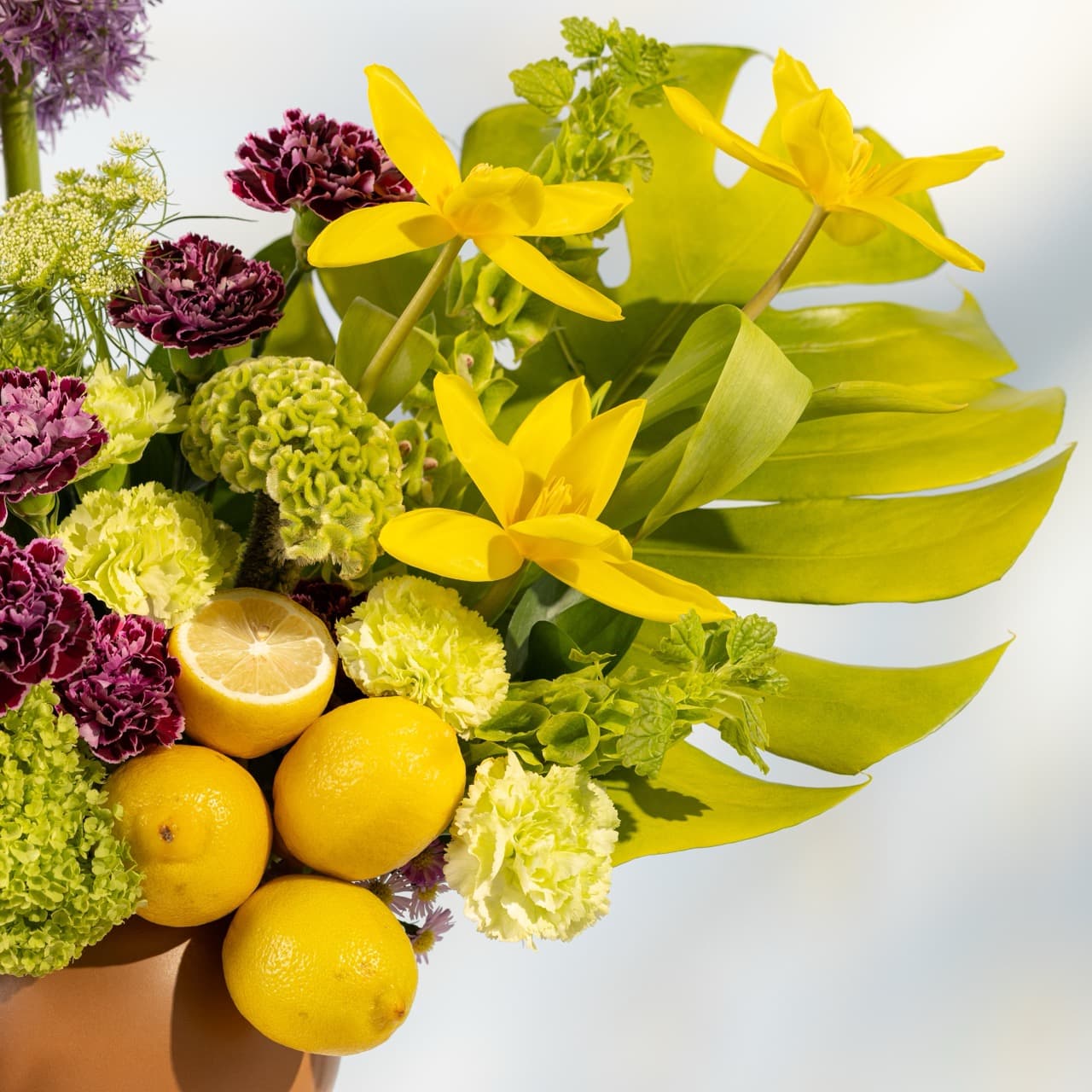 Citrus Fiesta