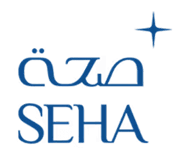 Visual representation of