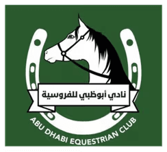 Visual representation of