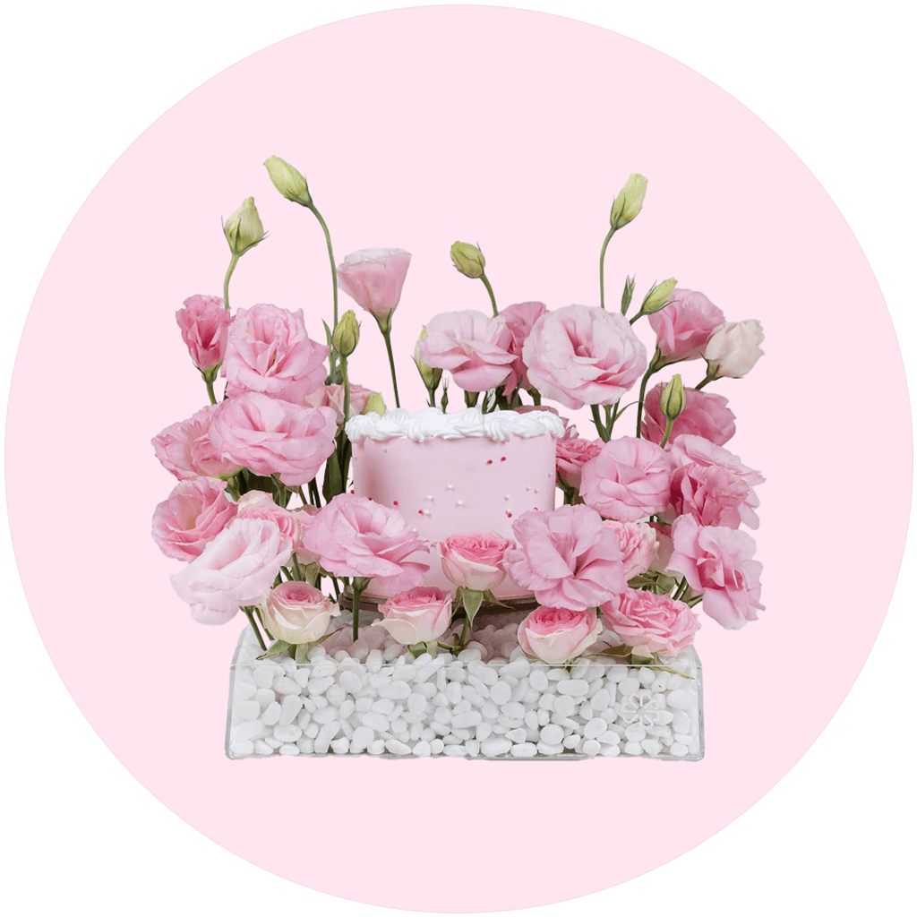 Visual representation of Combo