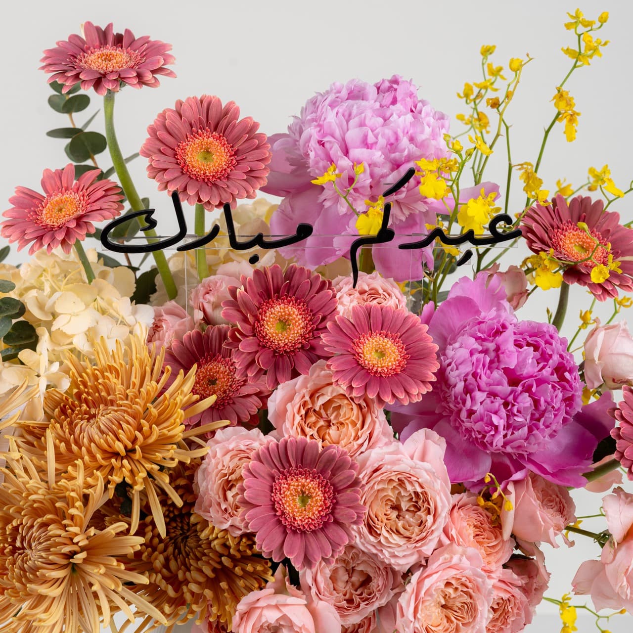 كورال بيوني